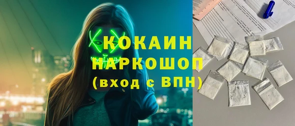 apvp Вяземский