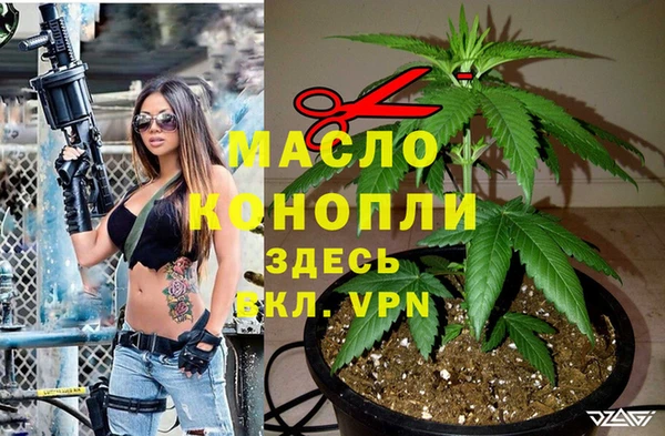 apvp Вяземский