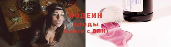 apvp Вяземский