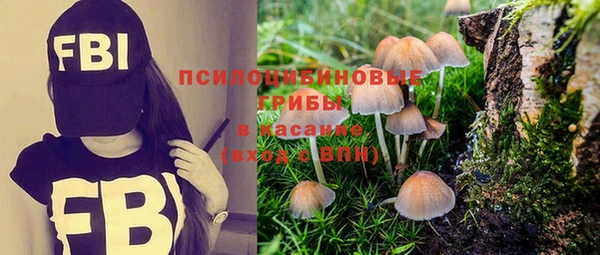 твердый Волоколамск