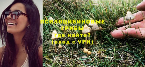 apvp Вяземский