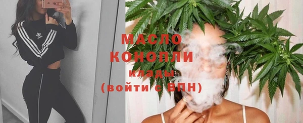 apvp Вяземский