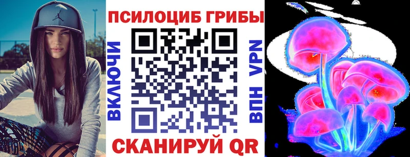 Псилоцибиновые грибы мицелий  Яхрома 