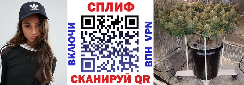 дарк нет формула  Яхрома  Каннабис план  где купить наркотик  блэк спрут  